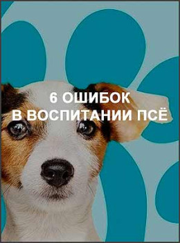 6 ошибок в воспитании Псё