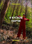 8 кусков парчи