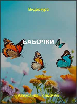 Бабочки