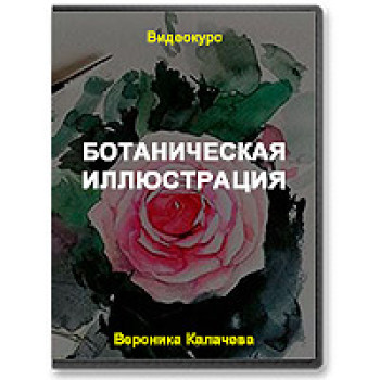 Ботаническая иллюстрация