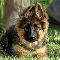 Черная пятница вместе с Kinolog School