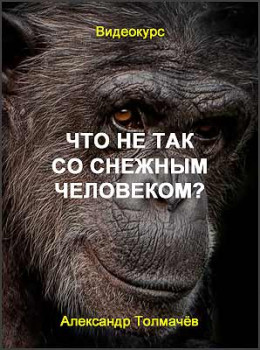 Что не так со снежным человеком?