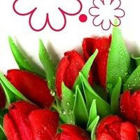 Денис Голиков дарит скидки к 8 марта