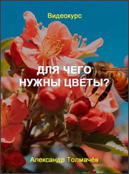 Для чего нужны цветы?