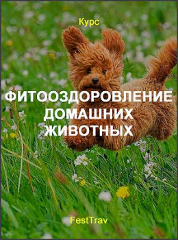 Фитооздоровление домашних животных