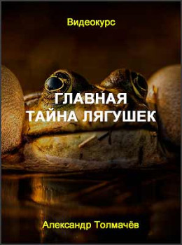 Главная тайна лягушек