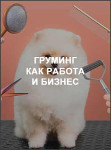 Груминг как работа и бизнес