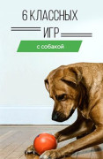 Игры с собакой