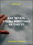 Как читать следы животных на снегу?