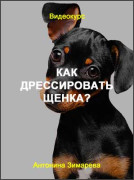 Как дрессировать щенка?