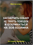Как научить собаку не тянуть поводок и откликаться на зов хозяина