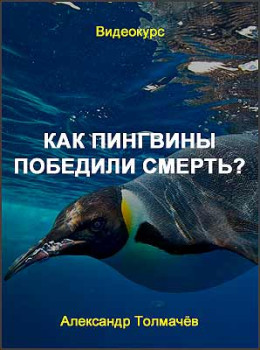 Как пингвины победили смерть?