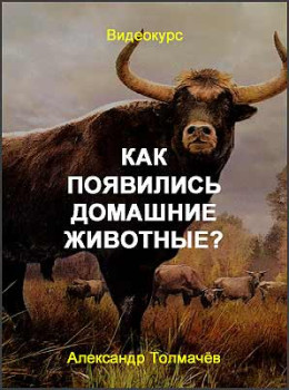 Как появились домашние животные?