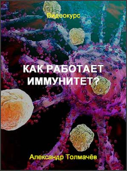 Как работает иммунитет?