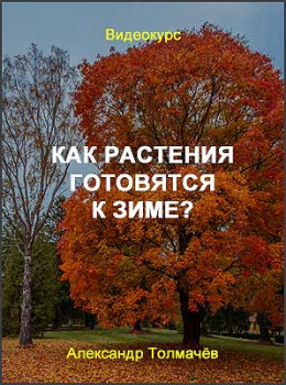 Как растения готовятся к зиме?