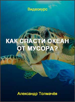 Как спасти океан от мусора?