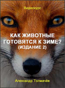 Как животные готовятся к зиме? (Издание 2)