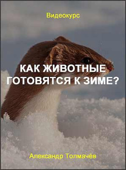 Как животные готовятся к зиме?