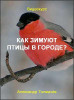 Как зимуют птицы в городе?