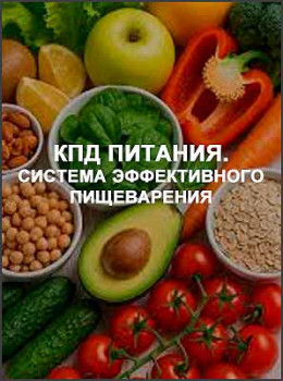 КПД питания. Система эффективного пищеварения