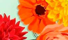 Летняя распродажа в онлайн школе Елены Калино