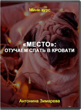 Место: отучаем спать в кровати