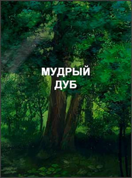 Мудрый дуб