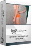 Нижний перекрестный синдром