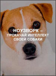 Ноузворк – прокачай интеллект своей собаки Ноузворк – прокачай интеллект своей собаки
