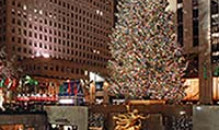 Новогодний подарок от Study America