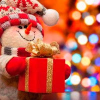 Новогодняя распродажа курсов Басманова Максима