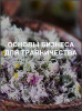 Основы бизнеса для травничества