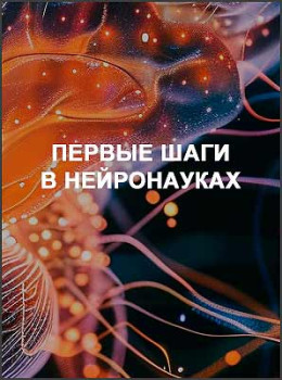 Первые шаги в нейронауках