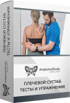 Плечевой сустав. Тесты и упражнения