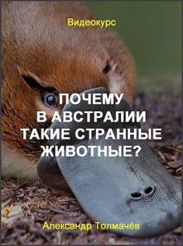 Почему в Австралии такие странные животные?