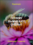 Почему вымирают пчёлы?