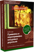 Прививка и перепрививка плодовых деревьев
