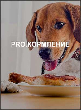 PRO.кормление