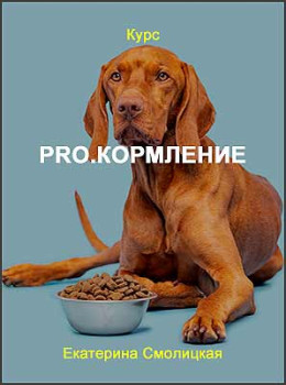PRO.кормление