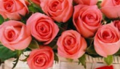 Распродажа курсов в честь «Черной Пятницы» от Лилии Родник