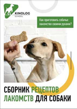 Сборник рецептов лакомств для собаки