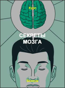 Секреты мозга