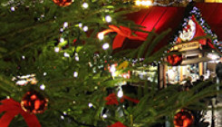 Щедрая новогодняя ярмарка Элара Академии