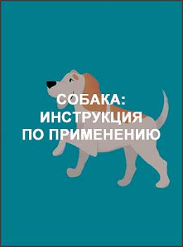 Собака: инструкция по применению