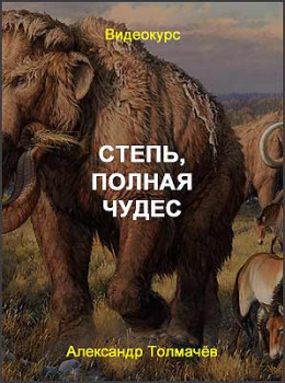 Степь, полная чудес