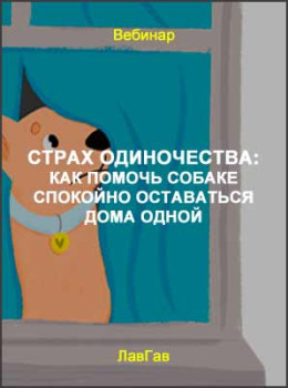 Страх одиночества: как помочь собаке спокойно оставаться дома одной