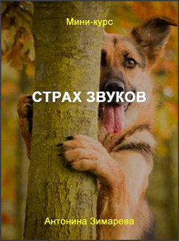 Страх звуков