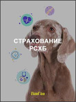 Страхование РСХБ