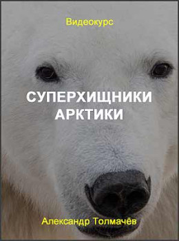 Суперхищники Арктики