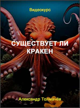 Существует ли кракен